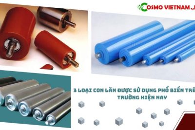 Top 3 loại con lăn được sử dụng phổ biến trên thị trường hiện nay