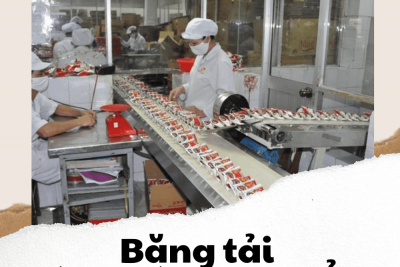Băng tải đóng gói thực phẩm nên sử dụng loại nào?