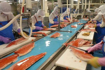 Giới thiệu băng tải sử dụng trong công nghiệp thực phẩm