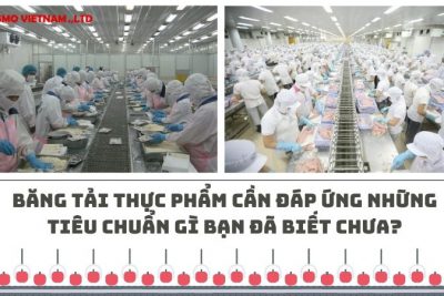 Băng tải thực phẩm cần đáp ứng những tiêu chuẩn gì bạn đã biết chưa?