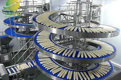 Hệ Thống Băng Tải Công Nghiệp