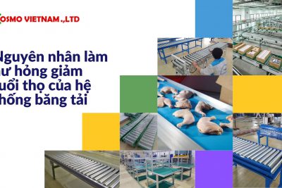 Nguyên nhân làm hư hỏng giảm tuổi thọ của hệ thống băng tải