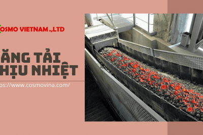 Băng tải chịu nhiệt là gì ? Đơn vị lắp đặt băng tải chịu nhiệt uy tín tại Hà Nội