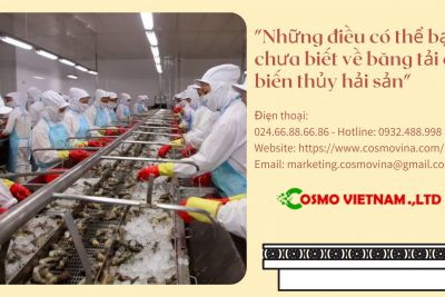 Những điều có thể bạn chưa biết về băng tải chế biến thủy hải sản