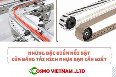 Những đặc điểm nổi bật của băng tải xích nhựa bạn cần biết