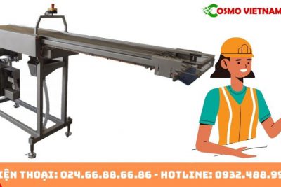 Vì sao băng tải chở sản phẩm đúc lại được ưa chuộng đến vậy?