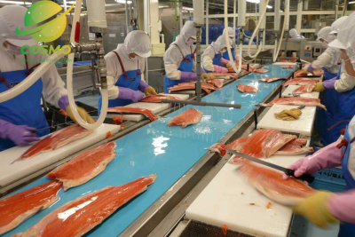 Dây chuyền chế biến thủy hải sản