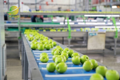 Dây Chuyền Băng Tải Thực Phẩm