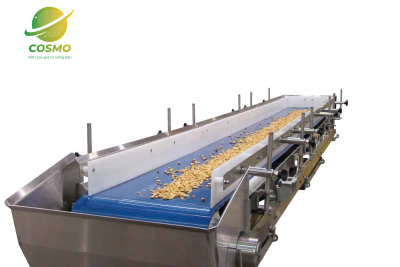 Băng tải thực phẩm