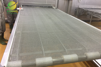 Băng tải lưới inox