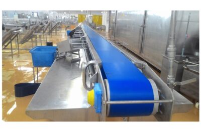 Băng tải chế biến thủy sản