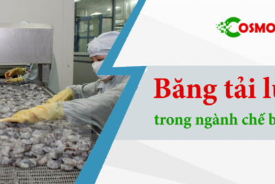 Băng tải lưới inox và những tiện ích trong ngành chế biến thực phẩm