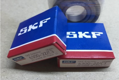 Vòng bi SKF 6300-2Z