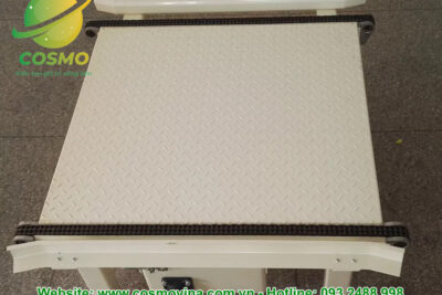 Hệ thống vận chuyển pallet tải trọng nặng tùy chỉnh Hệ thống băng tải chuỗi pallet