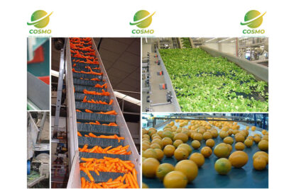 Băng tải trái cây